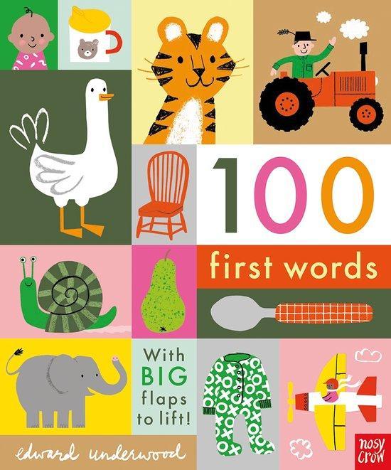 100 First Words 9781788004893 Edward Underwood, Boeken, Taal | Engels, Zo goed als nieuw, Verzenden