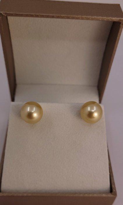 Oorbellen - 14 karaat Geel goud - 10x11mm South Sea Pearls, Sieraden, Tassen en Uiterlijk, Oorbellen