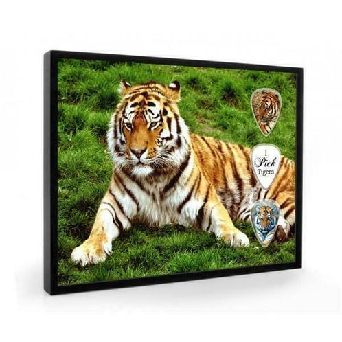 Tijger plectrumdisplay, Verzamelen, Dierenverzamelingen, Overige typen, Nieuw, Wild dier, Ophalen of Verzenden