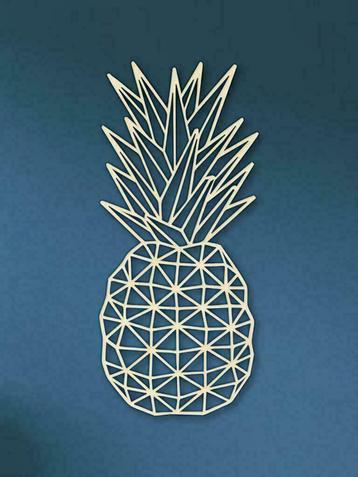 Geometrische ananas beschikbaar voor biedingen