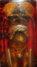 Magische amulet - De Wachter van de Zielen – Heilige