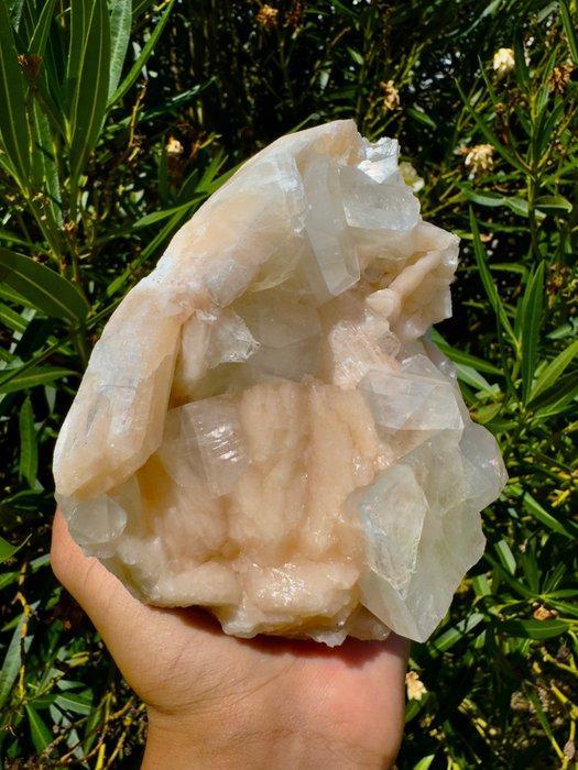 Geweldige kubusvormige Apofyliet met Stilbiet Kristal op, Verzamelen, Mineralen en Fossielen