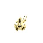 Gouden hanger van een kikkertje (kikker hanger), Ophalen of Verzenden, Gebruikt, Goud, Overige merken