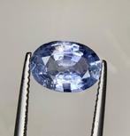 Zonder Minimumprijs - 1 pcs Blauw Saffier - 2.61 ct -, Sieraden, Tassen en Uiterlijk, Edelstenen, Nieuw