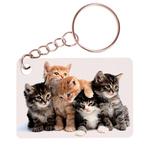 Sleutelhanger 6x4cm - Groepje Kittens Rode Katertjes en Geti, Ophalen of Verzenden, Nieuw