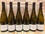 2022 Moulin de Chauvigné - Savennières - 6 Flessen (0.75, Verzamelen, Nieuw