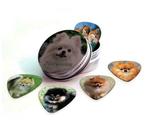 Blikje + plectrums met afbeelding van een Pomeranian hond, Nieuw, Ophalen of Verzenden