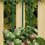 Plantenstaken 30 st 150 cm staal groen (Tuinieren), Tuin en Terras, Nieuw, Verzenden
