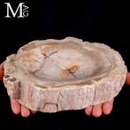 Fossiel hout - versteend hout Handgemaakte versteende hout