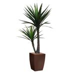 Yucca kunstplant, H200cm, Huis en Inrichting, Kamerplanten, Ophalen of Verzenden