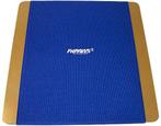 FitPAWS - Giant Rocker Board - Balansbord Hond - 76 x 76 cm, Verzenden, Nieuw