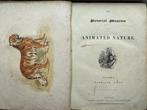 Charles Knight - Pictorial Museum Animated Nature with 200, Antiek en Kunst