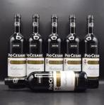 2019 Pio Cesare - Barbaresco DOCG - 6 Flessen (0.75 liter), Verzamelen, Nieuw