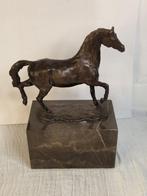 Carvin - Beeld, Bronzen paard op sokkel carvin - 20 cm -