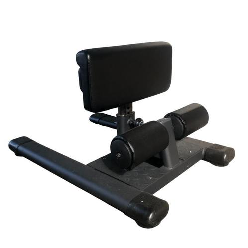 Gymfit sissy squat station | squat bank | kracht, Sport en Fitness, Fitnessapparatuur, Nieuw, Verzenden