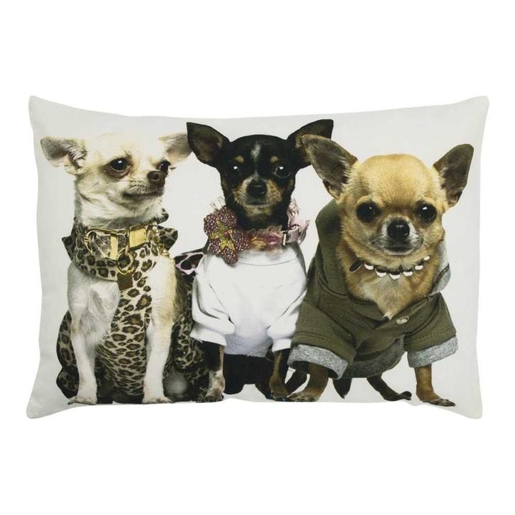 canvas kussen chihuahuas 35x50cm, Huis en Inrichting, Woonaccessoires | Overige, Verzenden