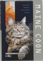 Maine Coon 9789058410306 M. Sluiter, Verzenden, Zo goed als nieuw, M. Sluiter