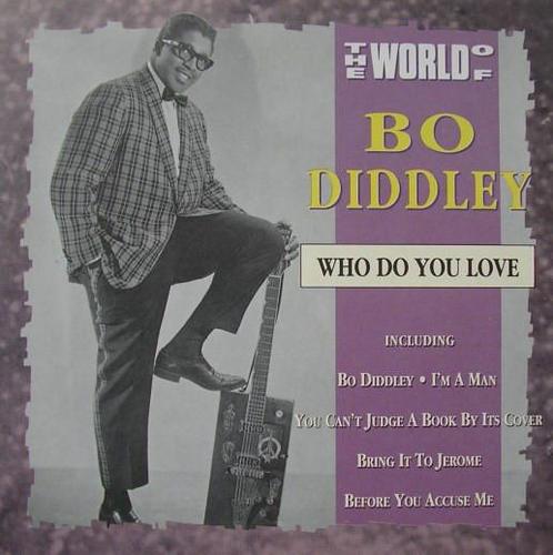cd - Bo Diddley - The World Of Bo Diddley / Who Do You Love, Cd's en Dvd's, Cd's | Overige Cd's, Zo goed als nieuw, Verzenden