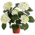 Kunstplant hortensia plant wit/groen 36 cm - Kunst hortensia, Huis en Inrichting, Kamerplanten, Ophalen of Verzenden