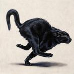 Mr Strange (XX-XXI) - The Black Cat