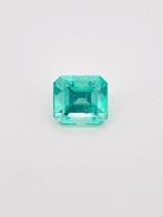 1 pcs Groen Smaragd - 1.47 ct - Gemological Institute of, Nieuw