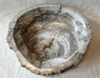 Fossiel hout - Gefossiliseerd hout - Dipterocarpus sp. - 7, Verzamelen, Mineralen en Fossielen