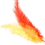 Veer Spadonis groot - Zwart, Verzenden, Nieuw