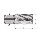 Rotec HSS Kernboor Silver-line, Weldon 19, ø19X55, Doe-het-zelf en Verbouw, Gereedschap | Boormachines, Verzenden, Nieuw
