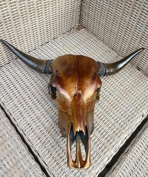 Buffelschedel - bruin - met mooie donkere horens, Huis en Inrichting, Woonaccessoires | Overige, Verzenden