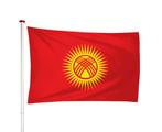 Kirgizische Vlag 40x60cm, Verzenden, Nieuw