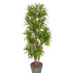 Groene Dracaena reflexa kunstplant 120 cm voor binnen - Ov.., Verzenden