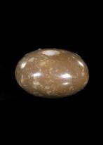 Sasanian Brown Hardstone Stempelzegel met Pegasus (Zonder, Antiek en Kunst