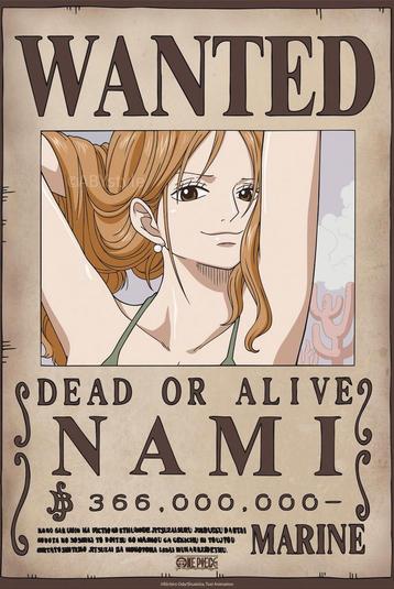 Poster One Piece Wanted Nami Wano 38x52cm beschikbaar voor biedingen