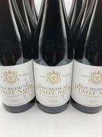 12x 2023 Bourgogne Pinot Noir Maison des voutes - Bourgogne, Verzamelen, Wijnen, Nieuw