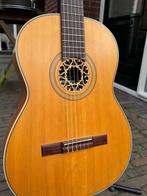 Hagström - Isabella - - Akoestische gitaar - Zweden - 1965, Muziek en Instrumenten, Nieuw