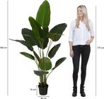 2dekans | Mica Decorations Bananenboom in Pot - Kunstplant -, Ophalen of Verzenden, Zo goed als nieuw