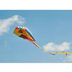 Pocket Vlieger Multicolour - 58 x 49 cm - In zak NIEUW