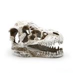 Prehistorische schedel 8cm / aquariumdecoratie As-282, Dieren en Toebehoren, Vissen | Aquaria en Toebehoren, Verzenden, Nieuw