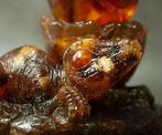 Dinosaurus Baltisch amber beeldje dat een amber ei met, Nieuw