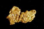 Goud Natif, goudklomp uit Suriname of Frans-Guyana- 0.58 g -, Nieuw