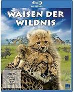 Waisen der Wildnis [Blu-ray]  DVD, Zo goed als nieuw, Verzenden
