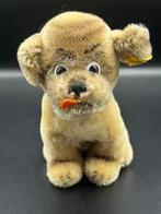 Steiff - Speelgoed Mopsy dog - 1960-1970 - Duitsland, Antiek en Kunst