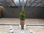 Plantenbak Fiberclay 34x34x70 cm Houtstructuur, Tuin en Terras, Verzenden, Nieuw