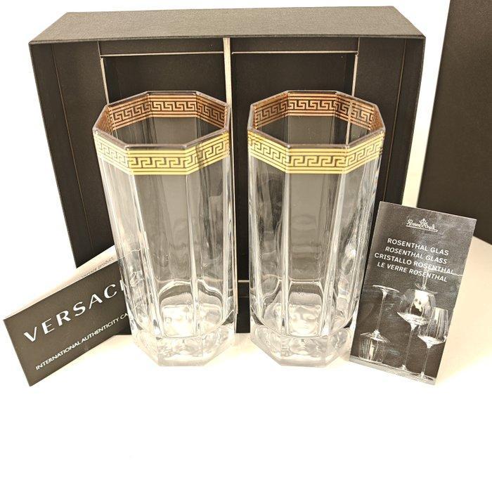 Rosenthal - Versace - Pot - Medusa dOr - Longdrink - Glas, Antiek en Kunst, Antiek | Glas en Kristal