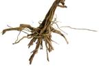 Driftwood Selected DW40 - 40x40x32cm (Small drift wood), Dieren en Toebehoren, Vissen | Aquaria en Toebehoren, Ophalen of Verzenden
