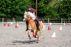 Prachtige raszuivere Haflingers te koop, Dieren en Toebehoren, Paarden, Ontwormd