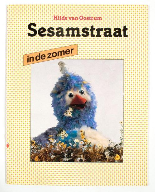 Sesamstraat in de zomer 9789029097642 Oostrum, Boeken, Kinderboeken | Jeugd | 13 jaar en ouder, Zo goed als nieuw, Verzenden