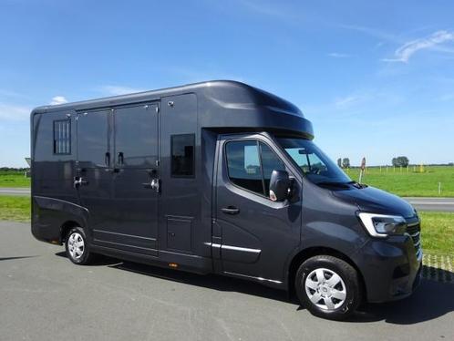Renault Master 5XL - hengstenuitvoering Euro 835,- p/m, Dieren en Toebehoren, Paarden en Pony's | Trailers en Aanhangwagens, Overige typen