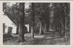 SOEST - Ned. Herv. Jeugdcentrum de Hoefslag, Pijnenburger..., Verzenden, Gelopen
