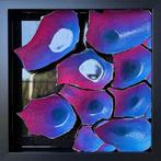 Us Box 3D Relief - Éclipse Orchidée, Antiek en Kunst, Kunst | Designobjecten